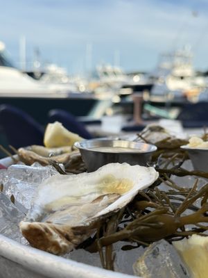 Atlantic fish & Chop House by null