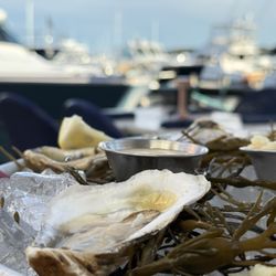 Atlantic Fish & Chop House - Oyster