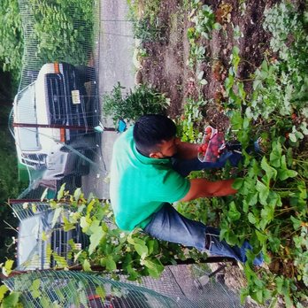 Danny International Tree Service - a man cutting a tree - Landscaping Near Me - Hackettstown, New Jersey