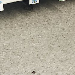 Giant Food Store - Cockroach in bread isle