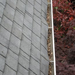 Not Happy! Our gutters after a roof and gutter cleaning service was completed by Joe at Clean Cut Services. Not Happy! Our gutters after a roof and gutter cleaning service was completed by Joe at Clean Cut Services.