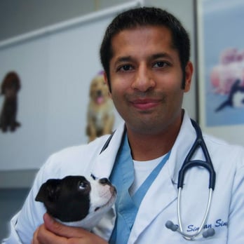 Abell Animal Hospital - Veterinarians Near Me - Chicago, Illinois Abell Animal Hospital - Veterinarians Near Me - Chicago, Illinois