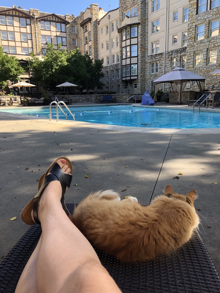 The Elms Hotel Spa 330 Photos 196 Reviews Hotels 401 Regent St Excelsior Springs Mo Phone Number