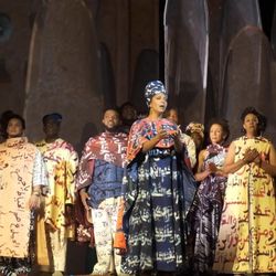 CadFab Digital - We printed yards worth of custom-designed and printed fabric for LA Opera's "Omar." Notice the repeated patterns in different colors.