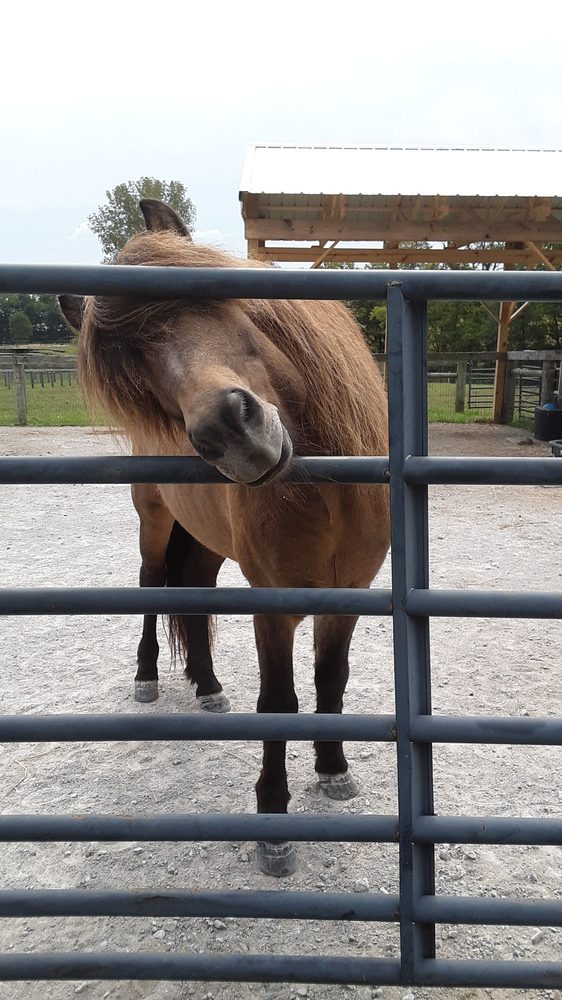 SWALLOWLAND FARM Updated March 2024 6105 Eminence Pike, Shelbyville