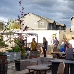 Divine Distillers - Outdoor garden