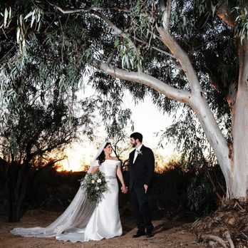 The Buttes at Reflections - Large tree and tree swing for sunset photos - Wedding Planning Near Me - Tucson, Arizona The Buttes at Reflections - Large tree and tree swing for sunset photos - Wedding Planning Near Me - Tucson, Arizona