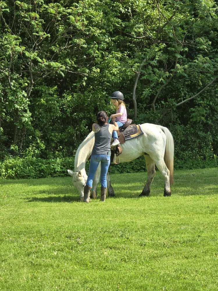 Achilles Acres - equestrian in Geneseo, NY
