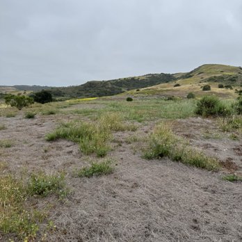 Bommer Canyon - Hiking Near Me - Irvine, California