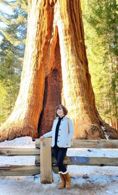 Sequoia National Forest by null