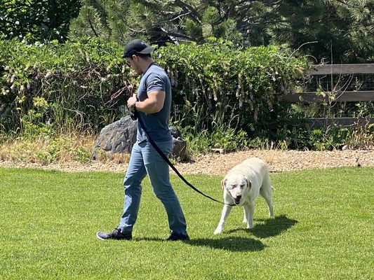 Proper leash Manners - Bark Busters is the worldwide leader of in-home dog training, helping over 1 million families and their dogs around the globe since 1989. We wholeheartedly believe in our methods and 30+ years of results. At Bark Busters Denver, we clear up the miscommunication between dogs and humans at the root of many behavioral issues by teaching everyone to speak the same language – dog! Proper leash Manners - Bark Busters is the worldwide leader of in-home dog training, helping over 1 million families and their dogs around the globe since 1989. We wholeheartedly believe in our methods and 30+ years of results. At Bark Busters Denver, we clear up the miscommunication between dogs and humans at the root of many behavioral issues by teaching everyone to speak the same language – dog!