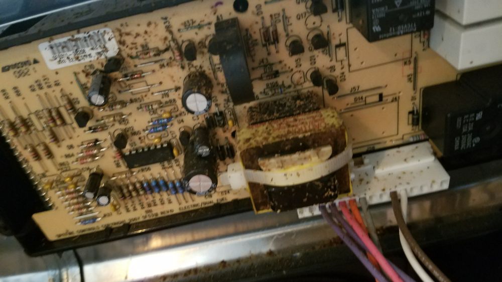 Slide of Daniel Dolinger Property Prep