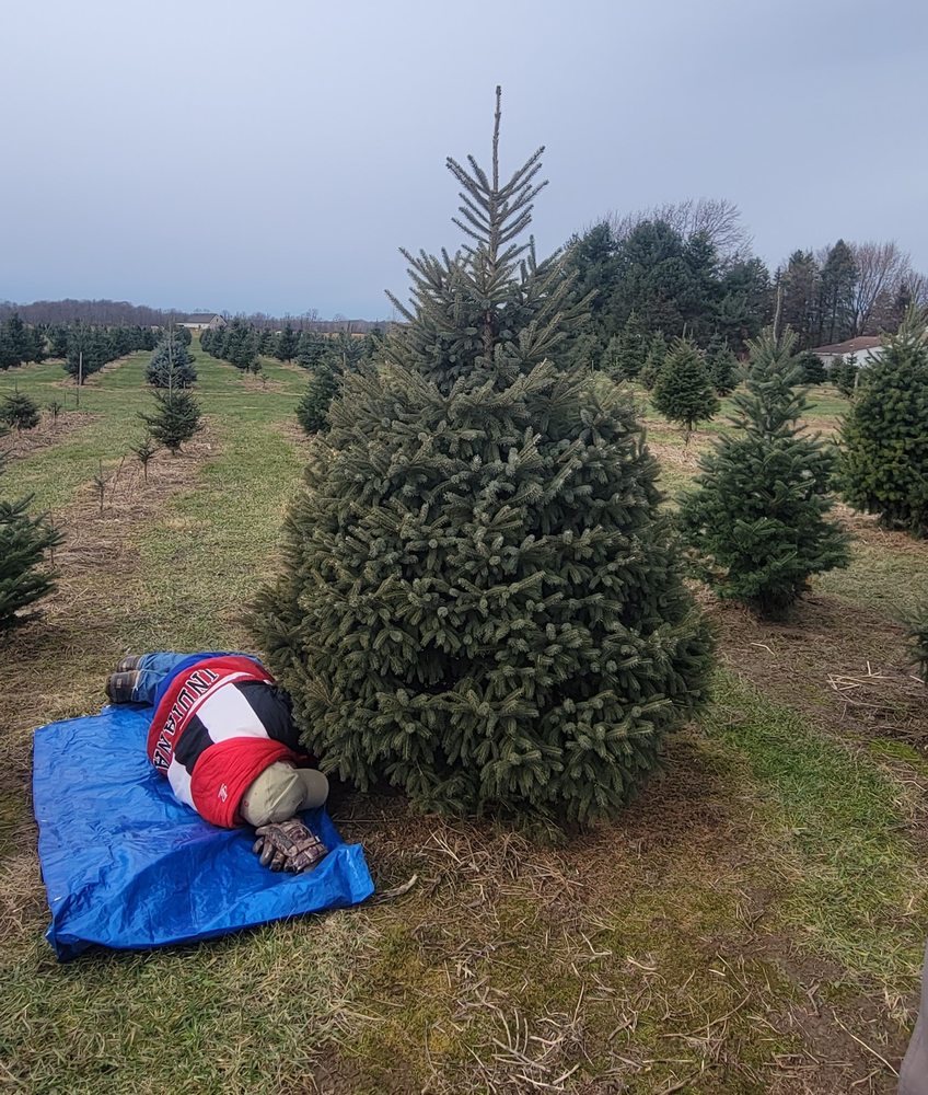 CROSSEN CHRISTMAS TREE FARM Updated October 2024 12 Photos 1198