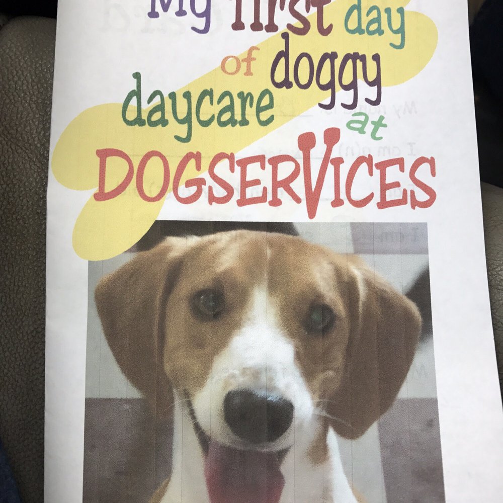 Little DogServices - Happy happy joy joy! - Pet Sitting Near Me - Richmond, Virginia Little DogServices - Happy happy joy joy! - Pet Sitting Near Me - Richmond, Virginia