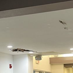 Holiday Inn Express & Suites Bellevue - Maybe they're doing some renovations but it shouldn't be open when people are eating right below it!
