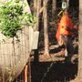 Photo of White Land Surveying