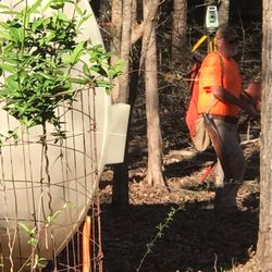 White Land Surveying - Here he is shooting one of my property lines.  His equipment is top notch - the robot was intriguing!