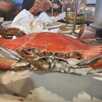 Riggins Crabhouse - Seafood Markets Near Me - Lantana, Florida Riggins Crabhouse - Seafood Markets Near Me - Lantana, Florida