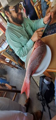 El Grillo Marinero by null