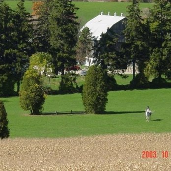 Waymark Farms - Photo - Farms Near Me - Bright, Ontario