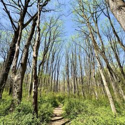 Patuxent River State Park Nature Center