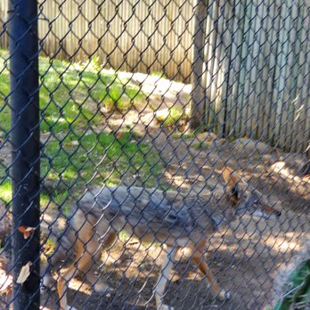 Orange County Zoo - Zoos Near Me - Orange, California