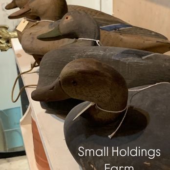 Small Holdings Farm - decoy ducks - Antiques Near Me - Aquebogue, New York Small Holdings Farm - decoy ducks - Antiques Near Me - Aquebogue, New York