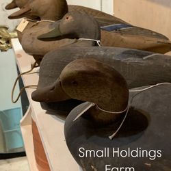 Small Holdings Farm - decoy ducks