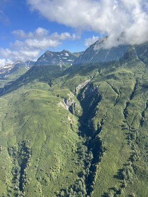 Rust's Flying Service by null