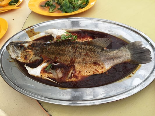 Season Live Seafood by null