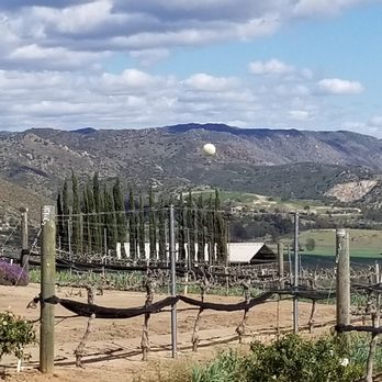 Hungry Hawk Vineyards & Winery - Vineyard views - Wineries Near Me - Escondido, California Hungry Hawk Vineyards & Winery - Vineyard views - Wineries Near Me - Escondido, California