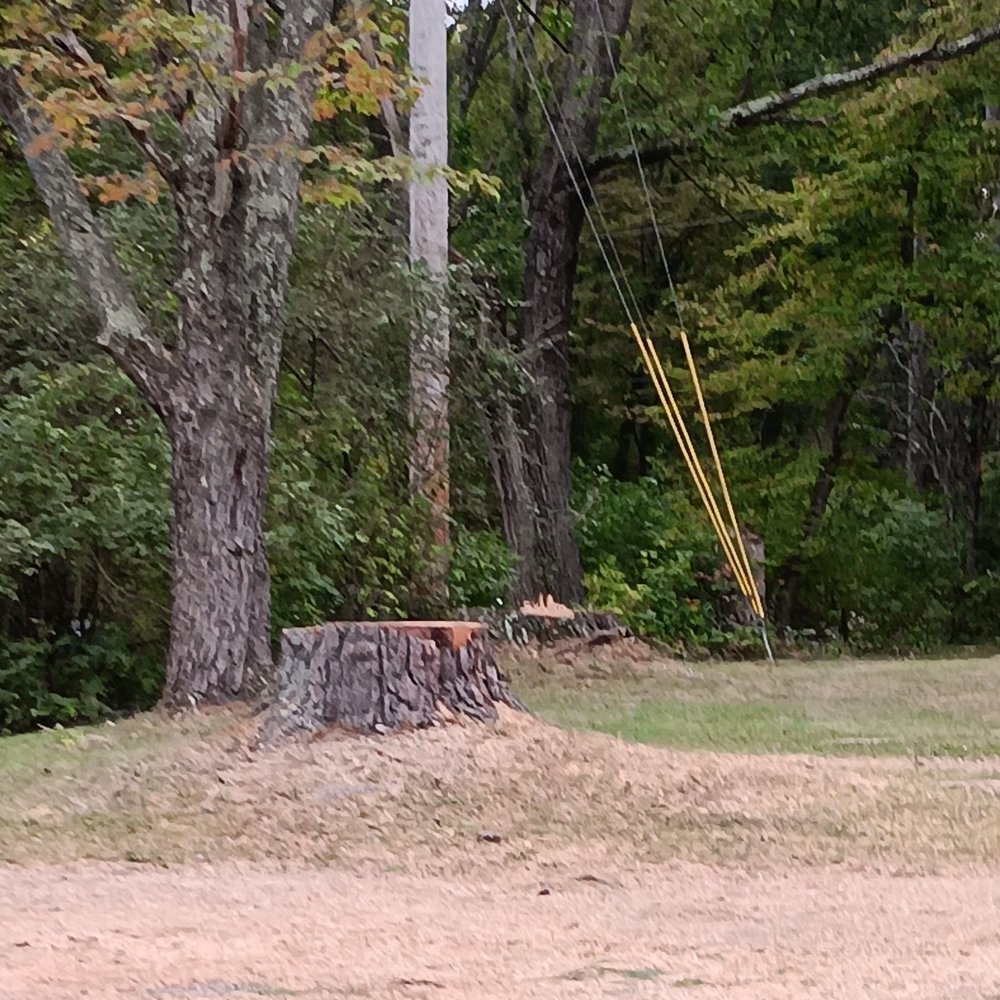 A & R Tree Services & More - no more Pine Trees - Masonry/Concrete Near Me
