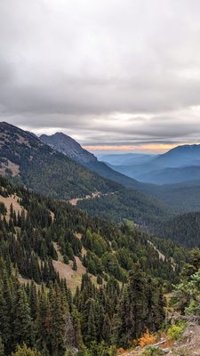 Hurricane Ridge by null