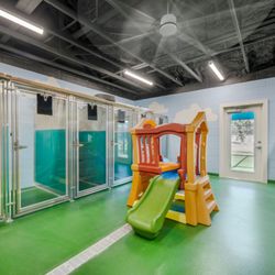 Pet Paradise Ocala