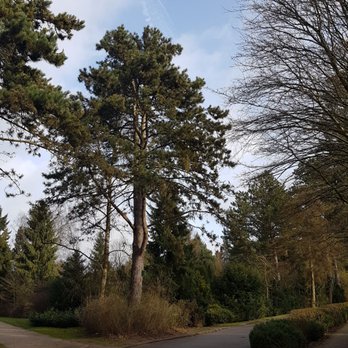 Waldhusener Friedhof - Funeral Services & Cemeteries Near Me - Lübeck, SH