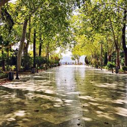 Alameda del Tajo - Cooler Park (06/2025)