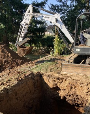 Septic Installation - Our fully certified technicians provide septic tank installation services in Clackamas County and the surrounding areas. At Scout Septic, Grease and Drain, we offer competitive rates and strive to provide an exceptional client experience. We are responsive to your needs and will utilize our state-of-the-art equipment to install your new septic system as quickly and safely as possible. If your septic tank needs emergency repairs or replacement, we offer 24/7 support and can provide the dependable assistance your home needs. Septic Installation - Our fully certified technicians provide septic tank installation services in Clackamas County and the surrounding areas. At Scout Septic, Grease and Drain, we offer competitive rates and strive to provide an exceptional client experience. We are responsive to your needs and will utilize our state-of-the-art equipment to install your new septic system as quickly and safely as possible. If your septic tank needs emergency repairs or replacement, we offer 24/7 support and can provide the dependable assistance your home needs.