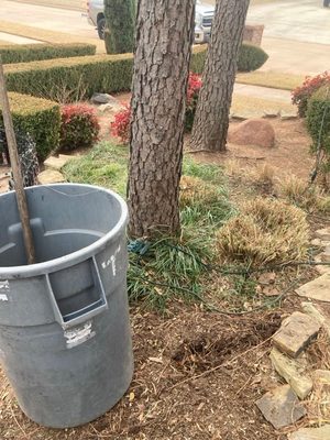 Tree Services - Overview:
After a spring storm, this property needed fast, safe tree removal and cleanup to keep the yard beautiful and safe.
Services Provided:
Emergency tree removal
Limb & debris cleanup
Stump grinding
Preventative pruning for remaining trees Tree Services - Overview:
After a spring storm, this property needed fast, safe tree removal and cleanup to keep the yard beautiful and safe.
Services Provided:
Emergency tree removal
Limb & debris cleanup
Stump grinding
Preventative pruning for remaining trees