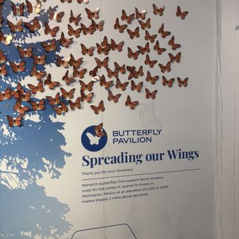 Butterfly Pavilion - Museums Near Me - Westminster, Colorado Butterfly Pavilion - Museums Near Me - Westminster, Colorado