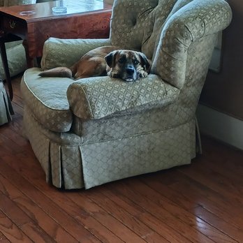 Inn on the River - You can't resist this face. Greeted us from a long day of hiking. - Hotels Near Me - Glen Rose, Texas Inn on the River - You can't resist this face. Greeted us from a long day of hiking. - Hotels Near Me - Glen Rose, Texas