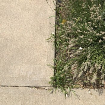 Andrew’s Lawn and Snow - Missed grass and weeds every week. - Lawn Services Near Me - Denver, Colorado Andrew’s Lawn and Snow - Missed grass and weeds every week. - Lawn Services Near Me - Denver, Colorado