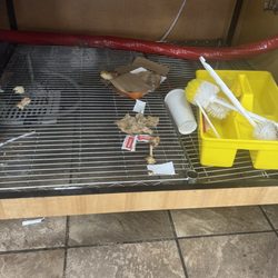Popeyes Louisiana Kitchen