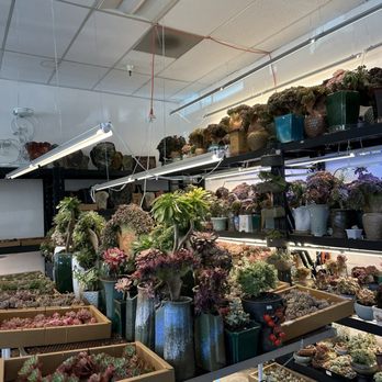Four Seasons Succulents - Nurseries & Gardening Near Me - San Leandro, California Four Seasons Succulents - Nurseries & Gardening Near Me - San Leandro, California