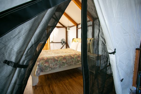 Inn Town Campground by null
