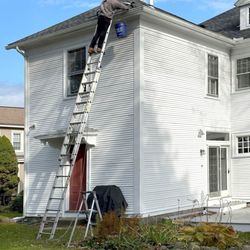 Busy Bee Window & Gutter Cleaning