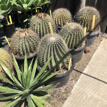 Poot's Cactus Nursery - Nurseries & Gardening Near Me - Ripon, California