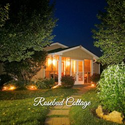 Piney Hill Bed & Breakfast and Cottages - 500 sq. ft. luxury cottage