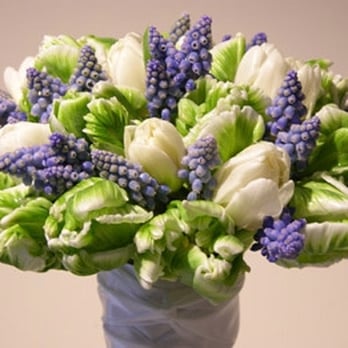 Ultra Violet Flowers - Florists Near Me - Washington, DC, District of Columbia Ultra Violet Flowers - Florists Near Me - Washington, DC, District of Columbia