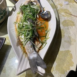 Steamed bass