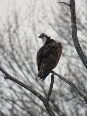 Wellesley Island State Park by null